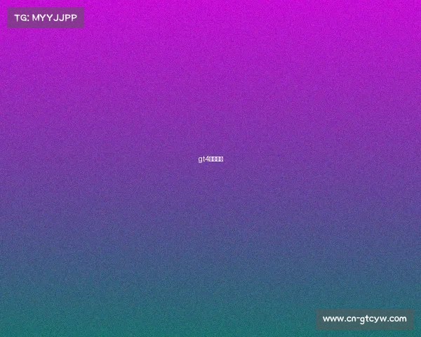 gt4赛车价格 gt4赛车价格